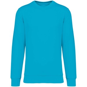 Native Spirit Drifter pul�ver, Light Turquoise